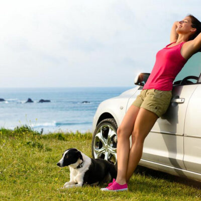 3 things to keep in mind while traveling with pets