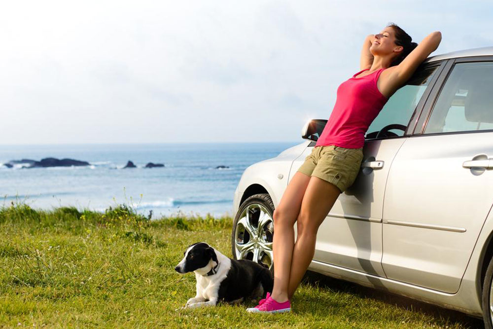 3 things to keep in mind while traveling with pets