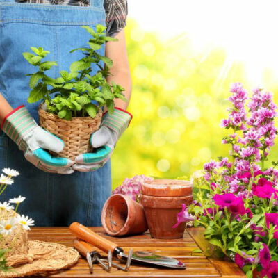 Health benefits of gardening