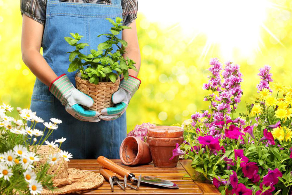 Health benefits of gardening