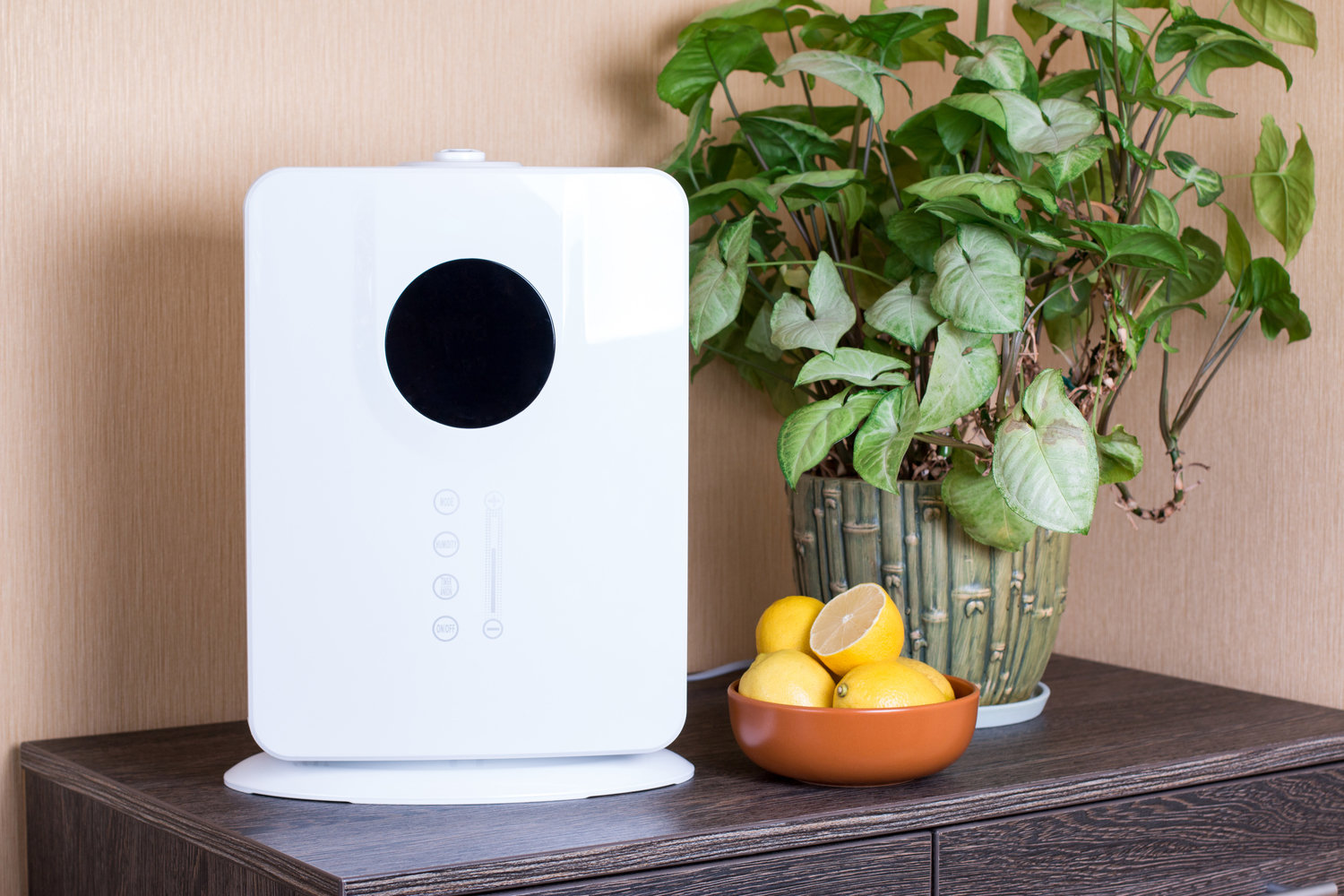 The 5 Top Rated Home Air Filters