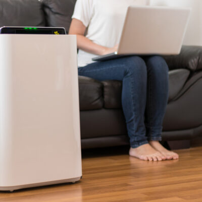 4 Top-Rated Home Air Purifiers