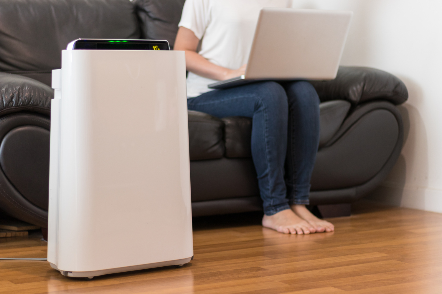 4 Top-Rated Home Air Purifiers
