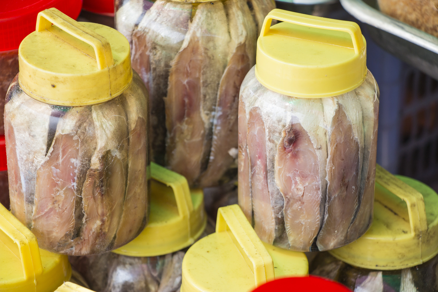 The 5 Best Canned Foods for Arthritis
